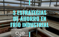 gestordeenergia frio industrial cye